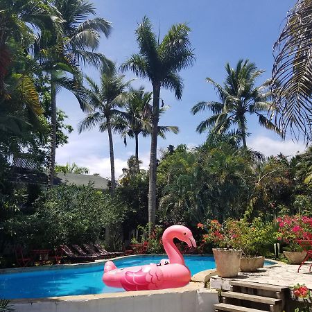 Готель Cabarete Surf Camp Екстер'єр фото
