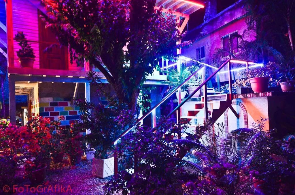 Готель Cabarete Surf Camp Екстер'єр фото
