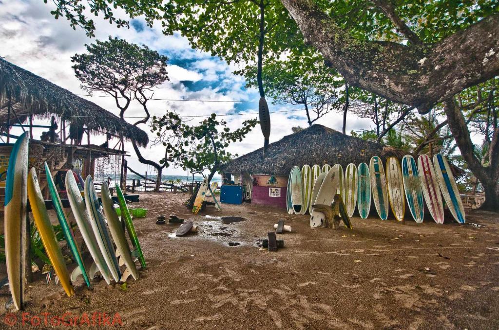 Готель Cabarete Surf Camp Екстер'єр фото