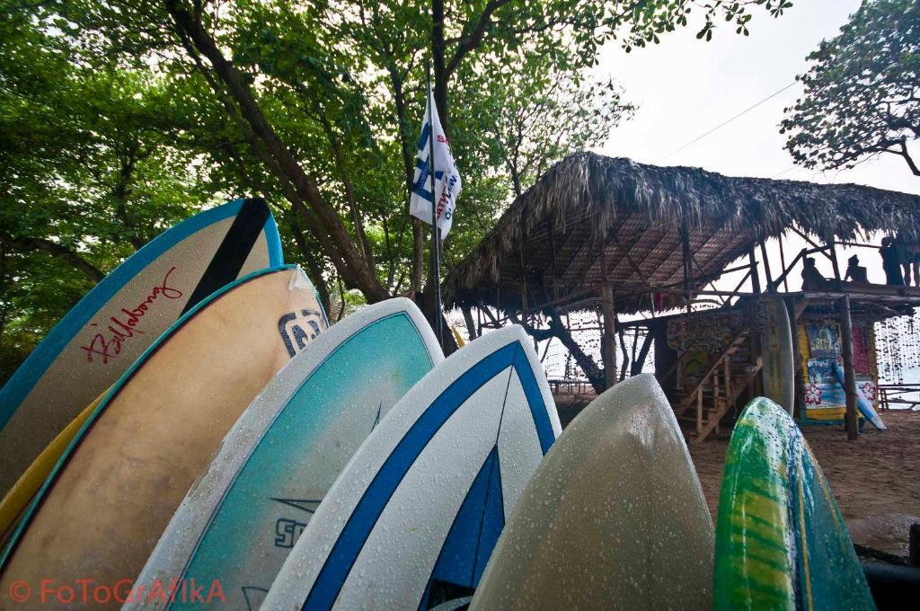 Готель Cabarete Surf Camp Екстер'єр фото