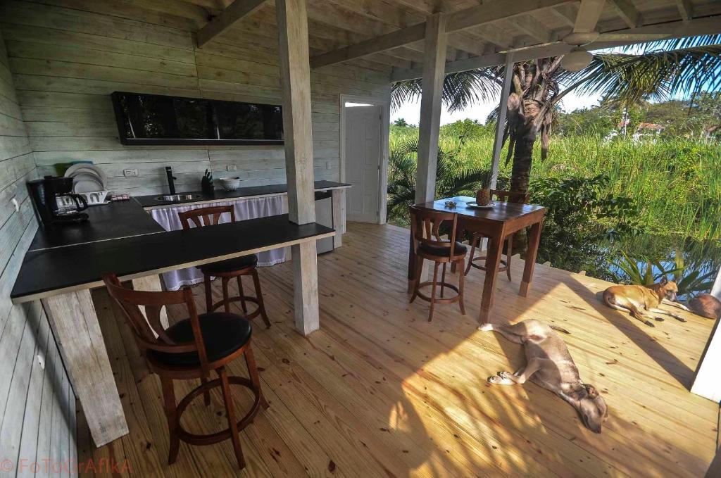 Готель Cabarete Surf Camp Екстер'єр фото