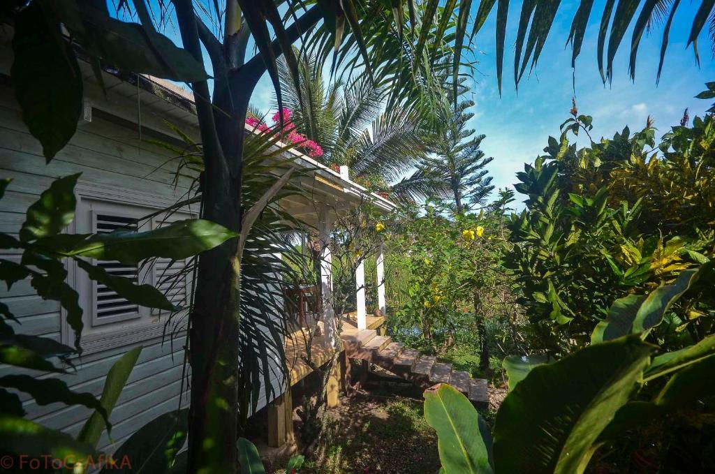 Готель Cabarete Surf Camp Екстер'єр фото