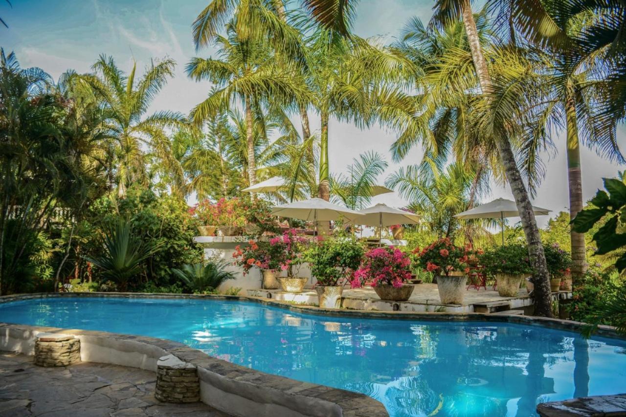 Готель Cabarete Surf Camp Екстер'єр фото
